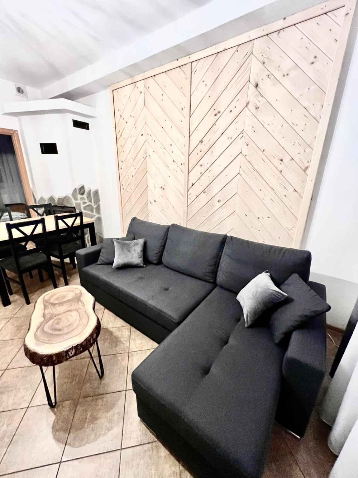 Apartamenty Nad Dunajcem Kolo Zakopanego ビャウィ・ドゥナイェツ エクステリア 写真