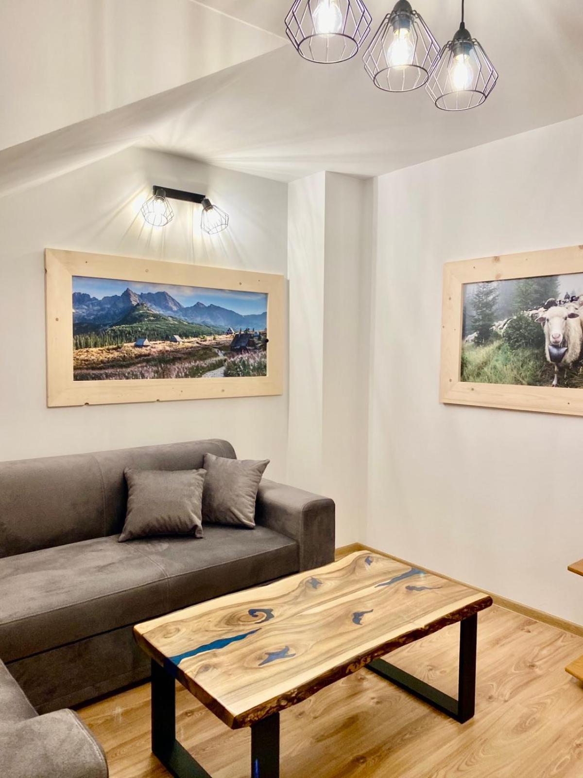 Apartamenty Nad Dunajcem Kolo Zakopanego ビャウィ・ドゥナイェツ エクステリア 写真