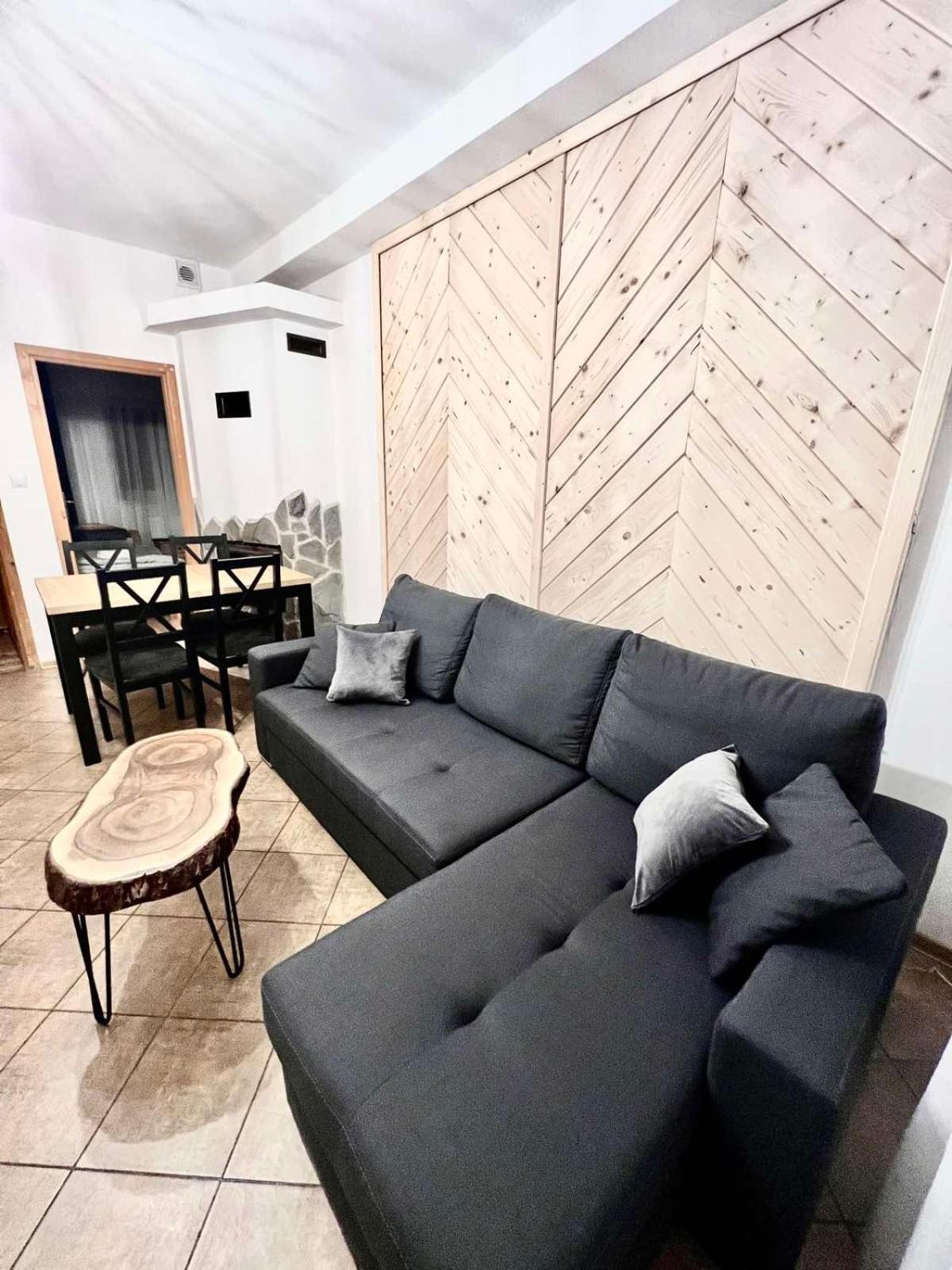 Apartamenty Nad Dunajcem Kolo Zakopanego ビャウィ・ドゥナイェツ エクステリア 写真